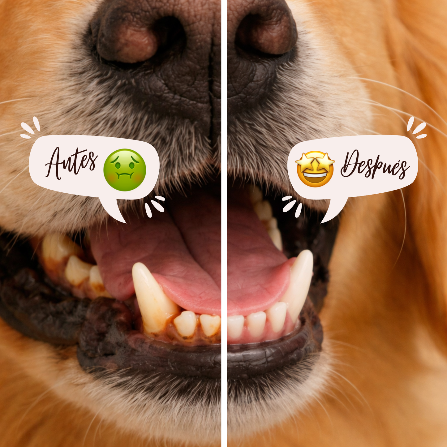 Dental Finger Wipes | Salud bucal para tu mascota sin estrés
