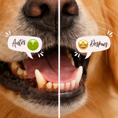 Dental Finger Wipes | Salud bucal para tu mascota sin estrés